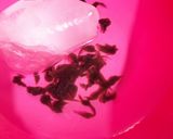 Foto langkah ke 4 dari resep Cendol Kecebong.