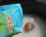 Foto langkah ke 1 dari resep Bubur Mayonaise magic com.