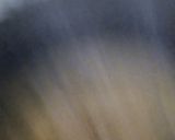 A picture of step 6 of Oats.