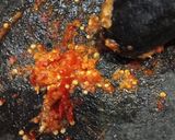 Foto langkah ke 2 dari resep Sambal Geprek.
