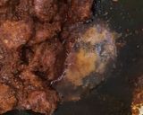 Foto langkah ke 5 dari resep Rendang daging sapi.