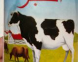 صورة لخطوة 5 من وصفة القهوه العربيه