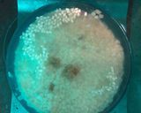Une image de l'étape 1 de Risotto dès de jambon Parmesan.