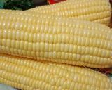 Foto langkah ke 1 dari resep Binte jagung manis /Milu siram khas Gorontalo.