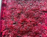 A picture of step 5 of Coconut Dragon Fruit Burphi.