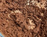Foto del paso 16 de la receta: Bizcocho arcoíris saludable