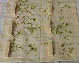 Une image de l'étape 4 de Petits pains chocolat blanc et citron vert.
