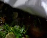 A picture of step 6 of Chicken Aalo Biryani.