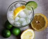 Thirsty Thursday Lemon Cocktail recipe step 5 photo