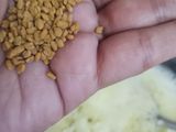 मेथीचे आळण (methi aalan recipe in marathi)