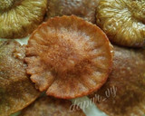 Foto langkah ke 6 dari resep KUE CUCUR No Mixer + TIPS SUKSES (#pr_olahantepungberas).