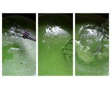 Foto langkah ke 2 dari resep Puding Lumut Kondang (ala @juwitacc).