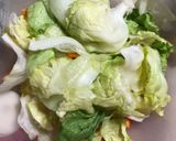A picture of step 1 of Kimchi 🇰🇷.