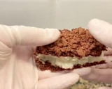 Foto del paso 19 de la receta: Pastel de chocolate con crema de coco. (Chocolate cake with coconut cream)