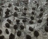 A picture of step 4 of Chocolate chips.