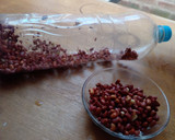 Foto del paso 6 de la receta: ¡Brotes de legumbres! en GERMINADOR casero REUTILIZABLE