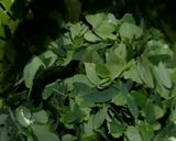 A picture of step 1 of Drumstick Leaf Muthia.