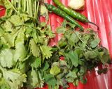 पुदीना की चटनी (pudina ki chutney recipe in Hindi) रेसिपी चरण 1 फोटो