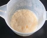 Foto langkah ke 1 dari resep Pizza Homemade.