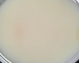 Foto del paso 3 de la receta: 173. Sorbete de Limón con Cava