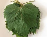 A picture of step 1 of Dolmas / Dolmades (Stuffed Grape Leaves).