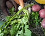 Foto del paso 1 de la receta: Puchero !! Bienvenidas verduras !!!😉👌🏻
