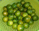 Hình bước làm 1 của món Mứt Tắc