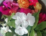 Foto del paso 6 de la receta: Galletas con flores y aroma a limón