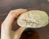 Foto del paso 4 de la receta: Pan de hamburguesa saludable
