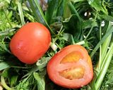 Hình bước làm 1 của món Mực ống xào su hào
