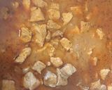 Brassói aprópecsenye karajból recept fázis 5 fotója