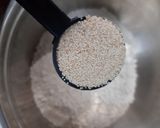 A picture of step 2 of Thekua (with Poppy seeds).