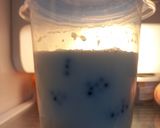 Foto del paso 4 de la receta 317. Batido de Moras