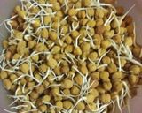 A picture of step 2 of Sprouted chana salad.