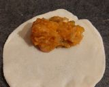 Une image de l'étape 4 de Gyozas poulet carottes gingembre.