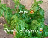 Foto del passaggio 1 della ricetta Conserve di Pesto Genovese km zero 2025 senza aglio 👩‍🍳🏡🦁🎉🎵❤️