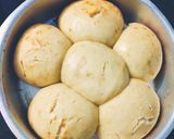 A picture of step 9 of Jain pav.