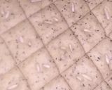 صورة لخطوة 7 من وصفة يانسونية طيبة وسهلة على طريقتي 😋