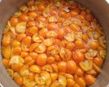 Foto del paso 2 de la receta: Dulce de quinotos🧡