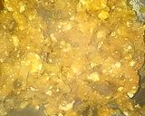 Foto del paso 3 de la receta: Calabaza rellena