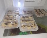 Foto del paso 7 de la receta: Alfajores de Maicena
