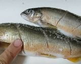 香煎香魚的食譜步驟2照片