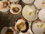 Vieiras con Salsa de Coral