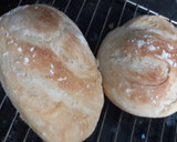 Foto del paso 12 de la receta: Pan sin amasar, fermentación lenta y alta hidratación