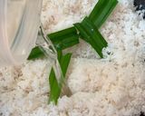 Foto langkah ke 2 dari resep Kelapa Isian Roti.