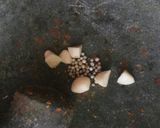 Foto langkah ke 4 dari resep Bala-Bala (Bakwan Khas Bandung).