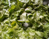 Foto del paso 2 de la receta: Ensalada de Melón y Roquefort