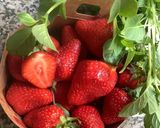 Une image de l'étape 6 de Cerises 🍒farandole 🍑🧅 fruits de saison 🍓🍐🍃.