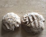 Foto del paso 1 de la receta: Pan integral Diet &nutritivo con sésamos negro