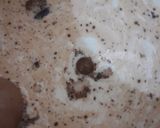 Foto langkah ke 2 dari resep Coklat panas rempah.